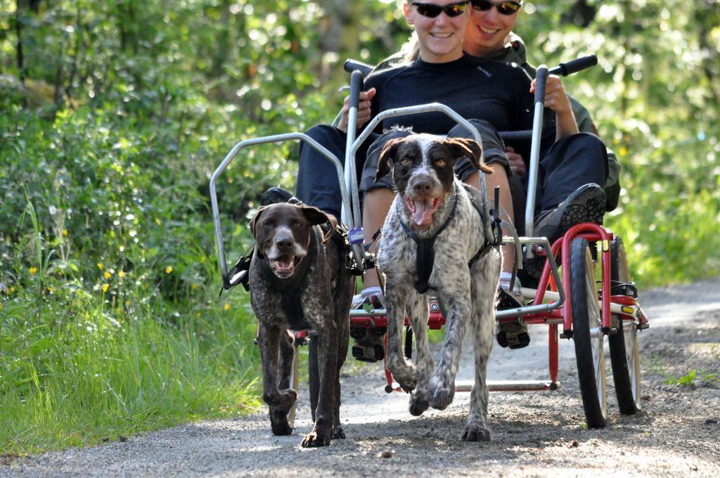Birkelund Camping Geilo Exteriör bild