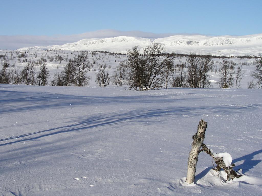 Birkelund Camping Geilo Exteriör bild